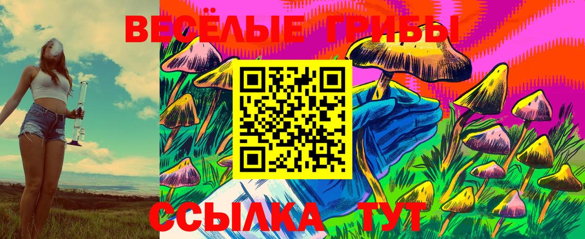 Галлюциногенные грибы прущие грибы  Вход с VPN  Чернушка 